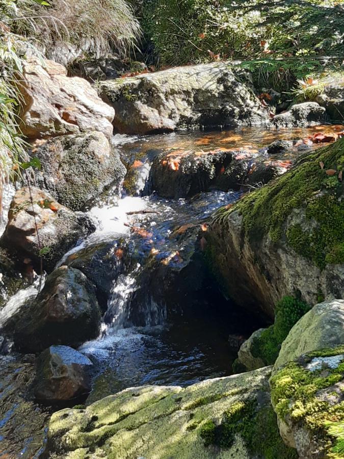 Anno - Wohlfuehlen Am Bachal In Altschoenau Нойшёнау Экстерьер фото